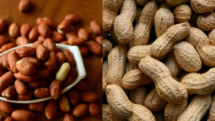 can-peanuts-go-bad?-how-to-check-their-freshness