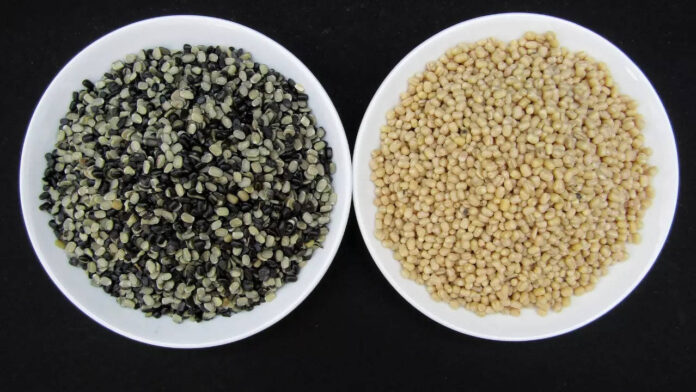 significance-of-urad-dal-and-rice-in-shraadh-rituals